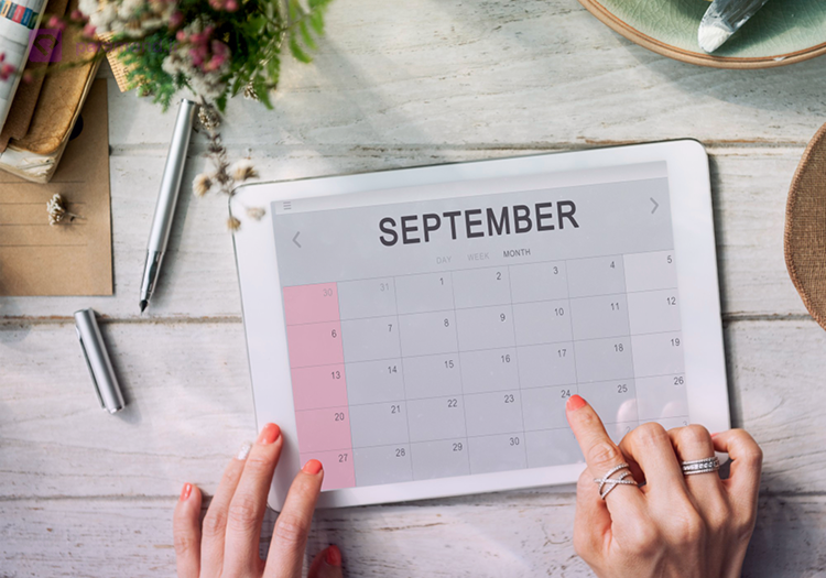 ماژول قرار ملاقاتهای آنلاین پاراموند